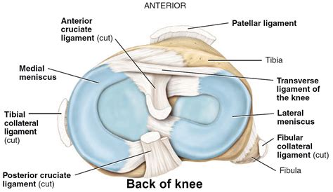Knee Pain Causes Exercises Remedies Medication And Treatment