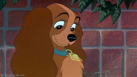 Lady Or Angel Poll Results Disneys Lady And The Tramp