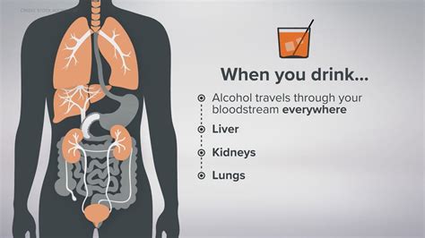 the effect of alcohol on your body and when it becomes dangerous