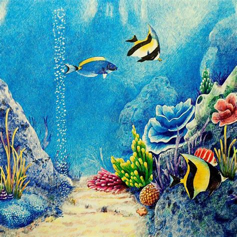 A coral reef is a large underwater structure made of dead and living corals (press to see more). Coral Reef Drawing With Color at GetDrawings | Free download