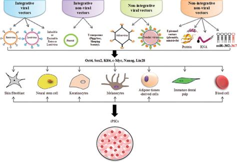 Induced Pluripotent Stem Cells Reprogramming Platforms And