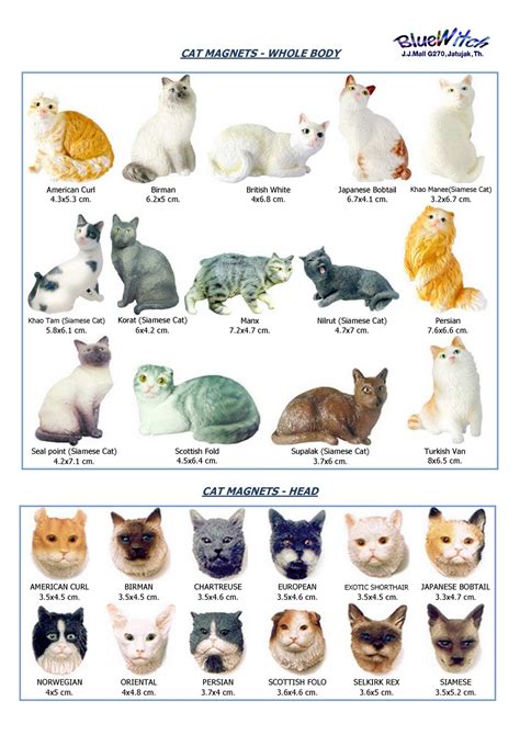 You'll find all types of these. Irish Cat Breeds - Laura Williams