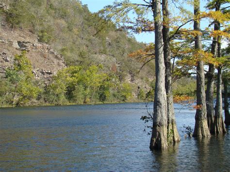 Mountain Fork River And Cypress Trees In Beavers Bend State Park
