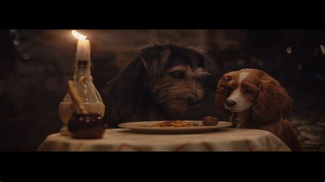 Lady And The Tramp 2019 Remake Trailer Watch New Look At Disney