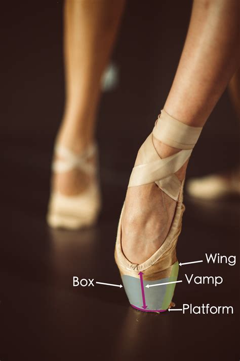 What Is A Pointe Shoe A Guide To The Advanced Dance Footwear