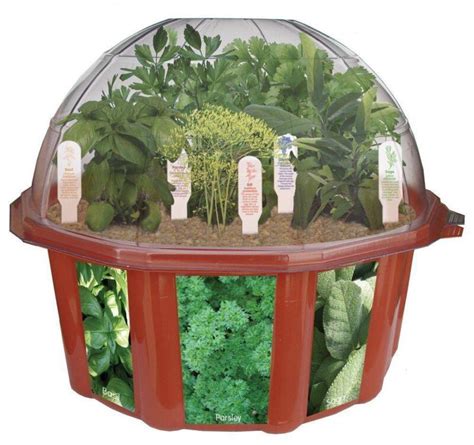 Herb Garden Kit Ebay