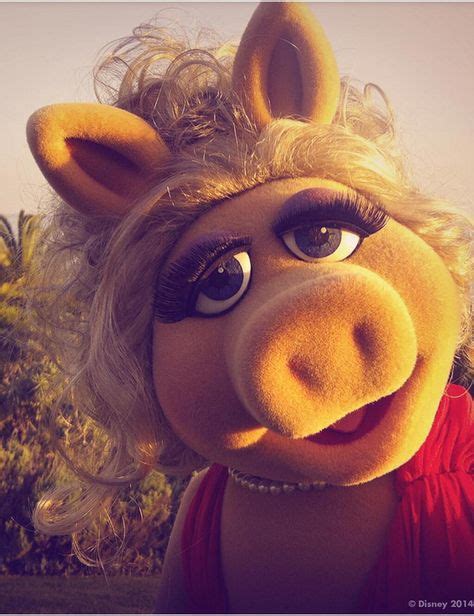 40 Ideas De Miss Piggy Cerdita Peggy Miss Piggy Muppets