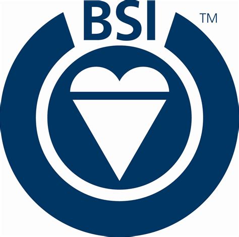 Bsi Logo Ffei