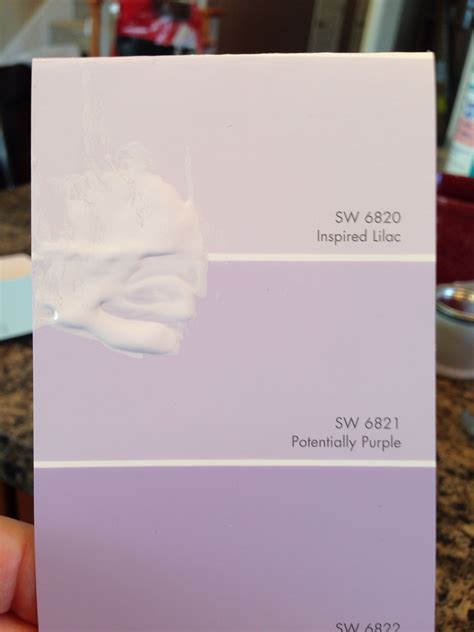 Light Purple Paint Swatches