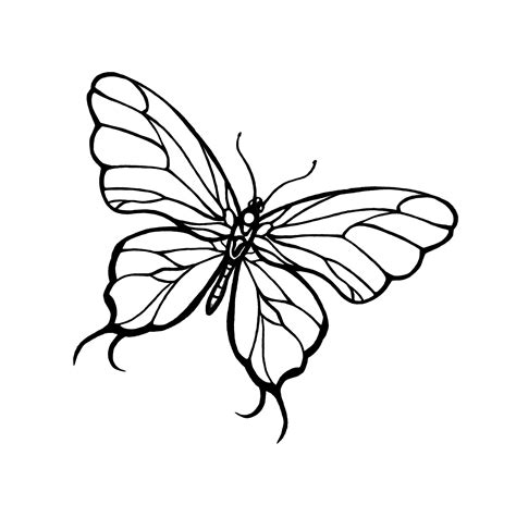 Simple Black Line Butterfly Tattoo Design Tattooimagesbiz Clipart