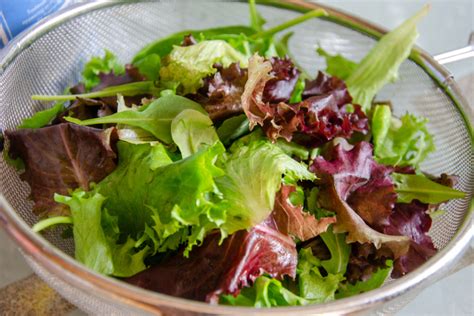 Salat oder fenchel werden etwa nicht zu tief pikiert. Salat pflanzen » Von der Aussaat bis zur Ernte