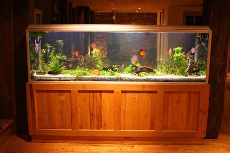 Gallon Fish Tank Dimensions In Cm Ape Aquarium Fish