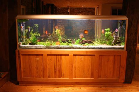 Reviews with top picks & buyer's guide (2021 updated). 55-Gallon Fish Tank: Our Top Five Choices | Aquariadise