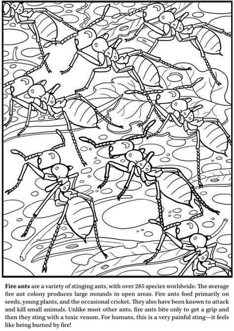 Your email address will not be published. Deadly coloring, Download Deadly coloring for free 2019