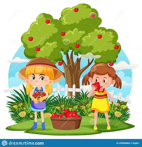 Children Picking Apples Cartoon Vector 121404527