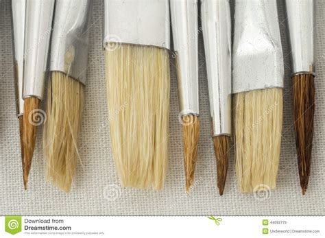 New Wooden Different Paintbrush Texture Stock Image Image Of Paint