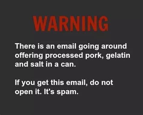 Email Humor Not Phishing Carmelo Walsh