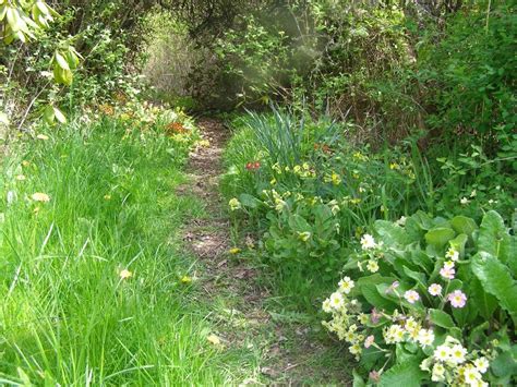 Thousand Flower Farm Primrose Path