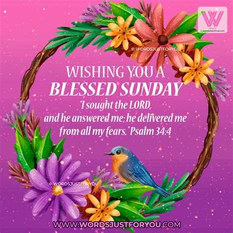 Sunday Blessings Bible Verse S Original