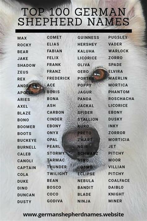 Pin By Patricia Rogers On Puppies German Shepherd Names German
