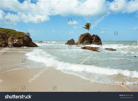 Tambaba Beach Official Naturistnudist Beach Brazil ภาพสตอก Shutterstock