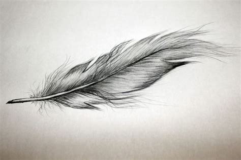 Maybe you would like to learn more about one of these? feder 1 | Tattoos feder, Feder tattoo vorlage, Feder tattoo