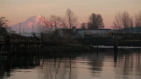 Mount Rainier Sunset View From Waterway In Tacoma Foss Waterway Tacoma