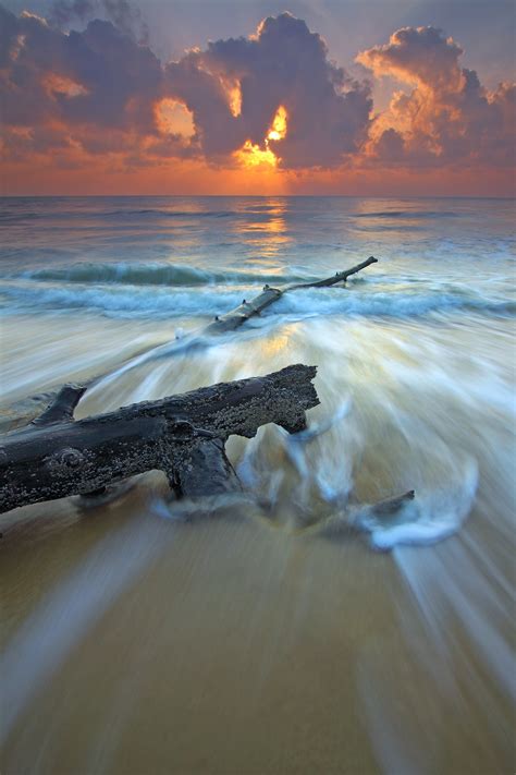 Free Photo Black Wood Branch In Beach Across Wavy Sea During Sunset