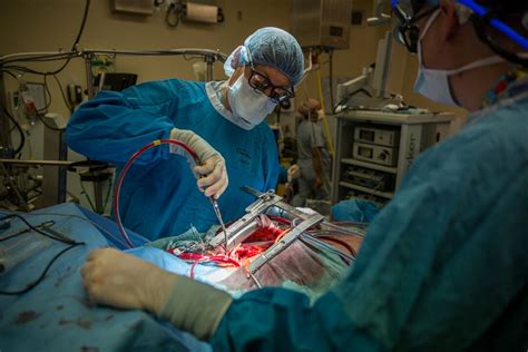 Heart valve surgery repairs a damaged heart valve. THINGS WE NEED TO KNOW ABOUT OPEN HEART SURGERY | Nidaan Hospital