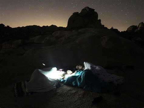 Stargazing At Joshua Tree National Park Smithsonian Photo Contest