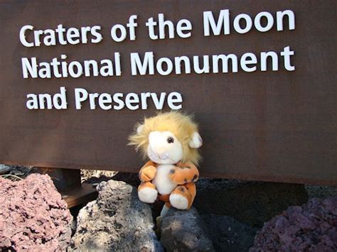 Bah Koo Checking Out The Landscape At Craters Of The Moon National