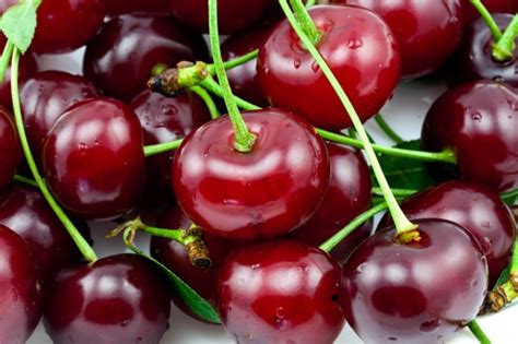 Best Cherries For Cherry Juice And How To Choose Them Juice Health