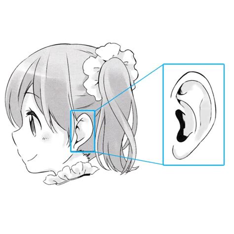 Discover 65 Anime Ear Reference Latest Incdgdbentre