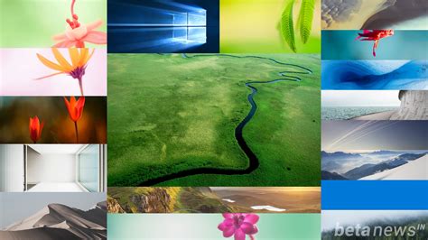 Follow the vibe and change your wallpaper every day! Download Windows 10 Wallpapers Pack (18 Win 10 Wallpapers)