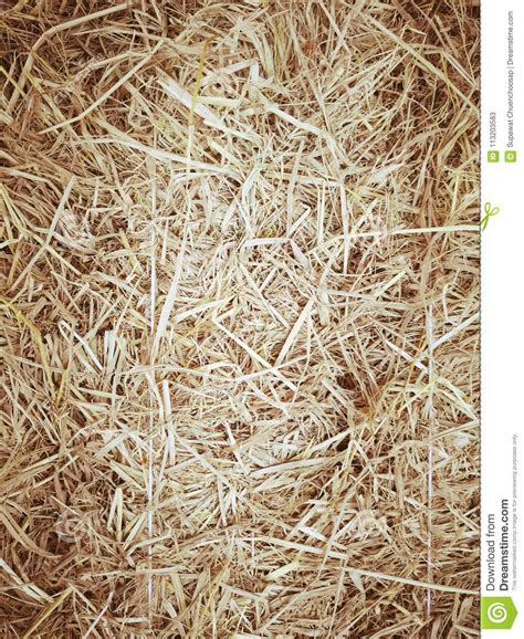 Dry Yellow Straw Grass Background Texture Stock Image Image Of Farm