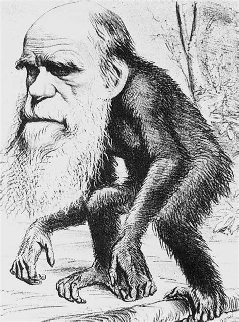 Charles Darwin Evolution And The Story Of Our Species Charles Darwin