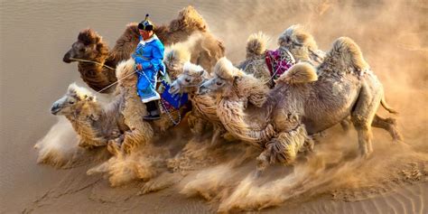 He tenth tournament of the international series was planned for august 2020. Photo contest winners of the Siena International Photo ...