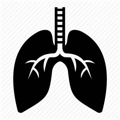 Icon Lungs Respiratory Lung Icons System Medical