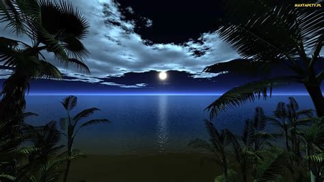 Tapety Zdjęcia Plaża Noc Ocean Księżyc Palmy