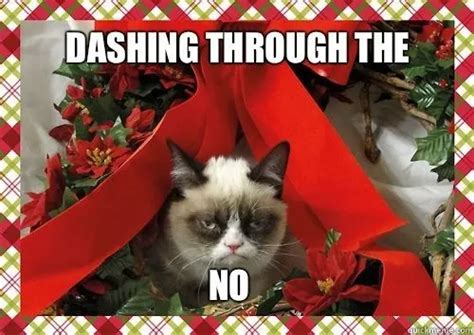 15 Of The Best Grumpy Cat Memes Rest In Peace Mamas Geeky Funny