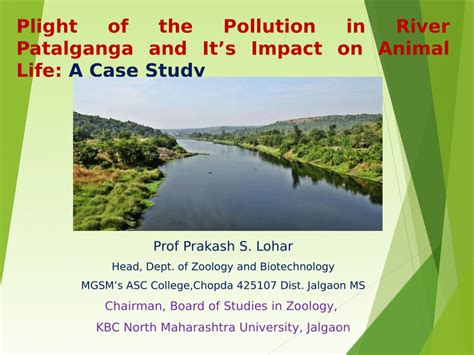 Pdf Plight Of The Pollution In River Patalganga And Its Impact Of