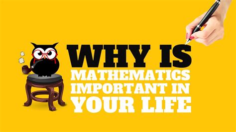 Why Is Mathematics Important In Your Life All You Need To Know Youtube