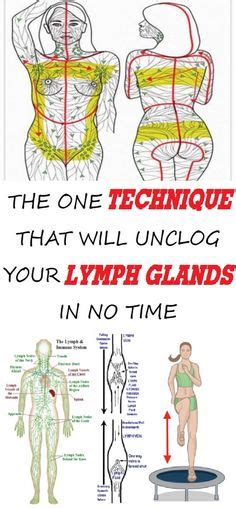 Location Of Lymph Nodes On Face And Neck Good To Know For Those Times