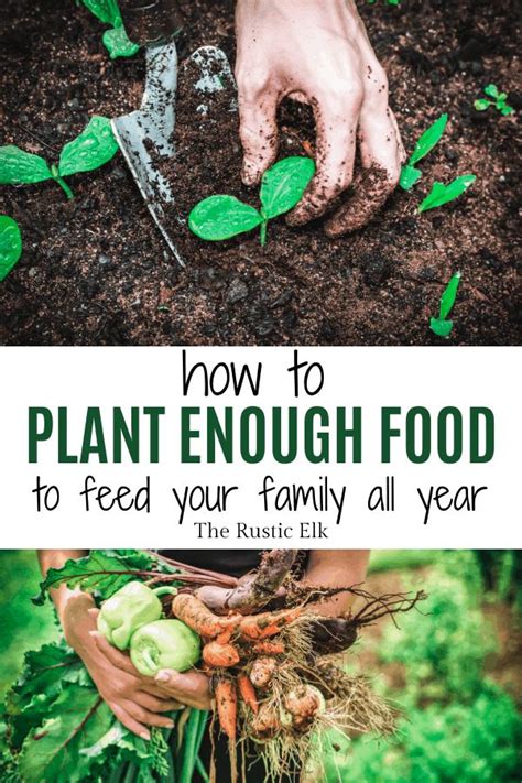 Let's also look at answering some specific cooked crawfish quantities per person for a big group before we get to our tables. Determining How Much to Plant Per Person | Plants, Growing ...