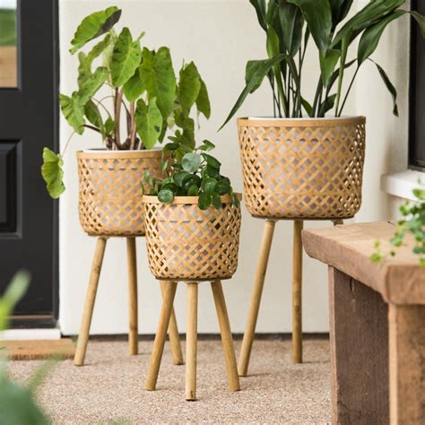 Check spelling or type a new query. Bohemian Plant Stand | Magnolia