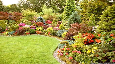 Include dof and hyperfocal distance which apps are your favorites? Choosing Shrubs that Thrive in Nashville Summers | The ...