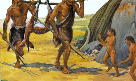 Evolución De Los Alimentos En La Prehistoria