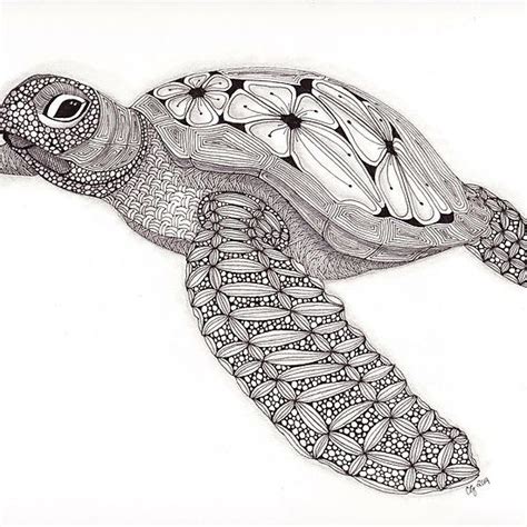 Tangled Sea Turtle By Christianne Gerstner Sea Turtle Artwork