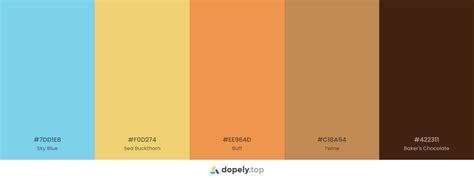 10 Brown Color Palette Inspirations with Names & hex Codes! | Inside Colors