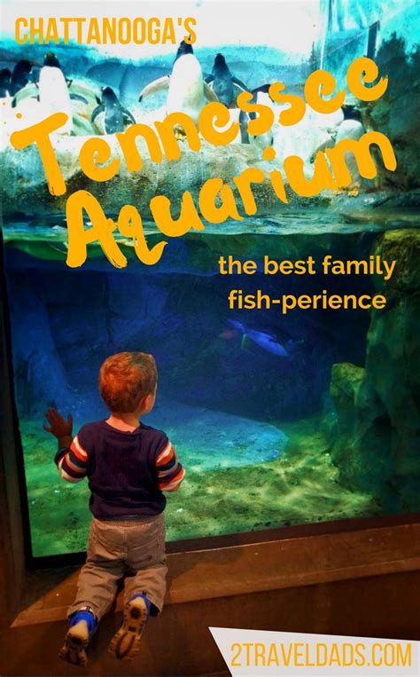 The Usa Has Many Aquariums But The Tennessee Aquarium In Chattanooga